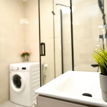 Mmrent Nature Danzica