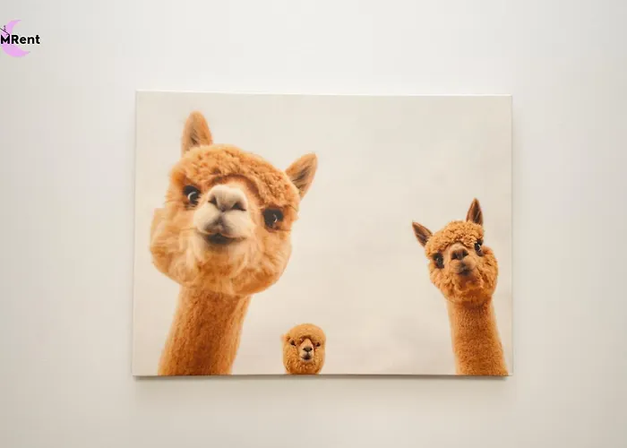 Accommodatie bij particulieren Mmrent Nature